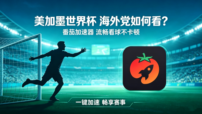在加拿大看世界杯中文直播当前IP受限制教程